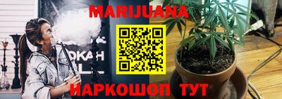 кокс Можга