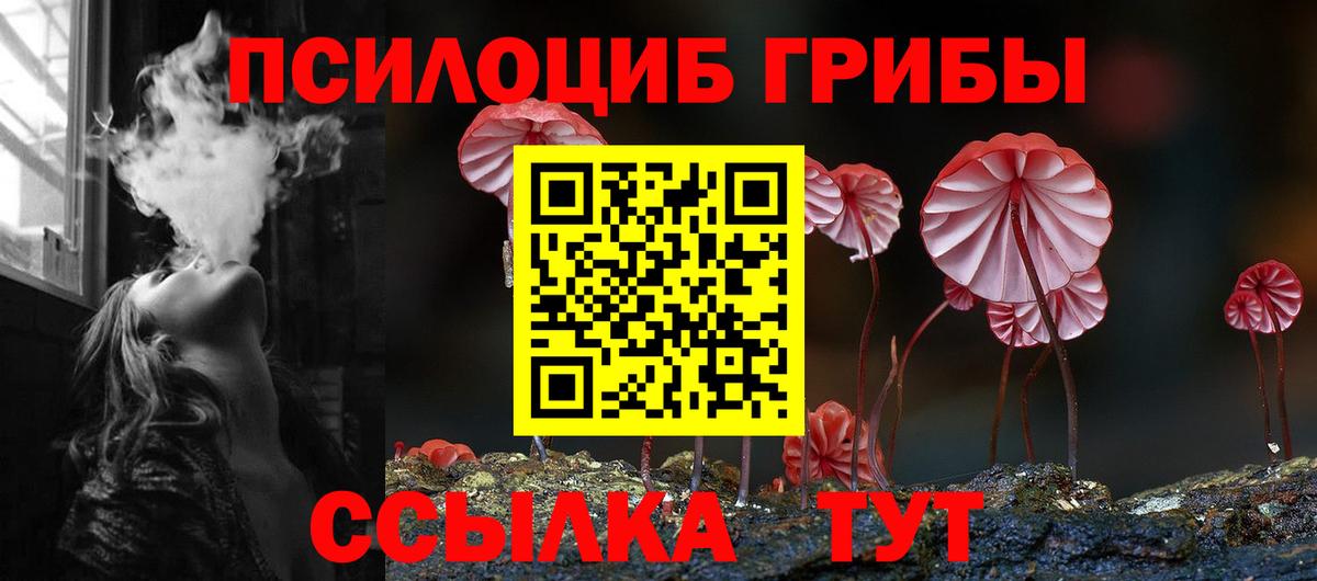 Псилоцибиновые грибы GOLDEN TEACHER Рузаевка