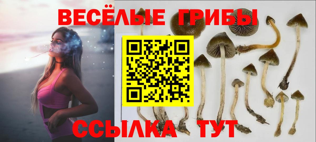Рузаевка  Галлюциногенные грибы MAGIC MUSHROOMS  Галлюциногенные грибы Magic Shrooms  Вход с VPN 